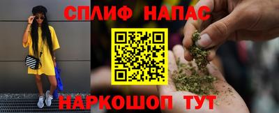 хмурый Тула
