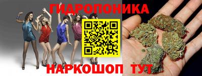 хмурый Тула