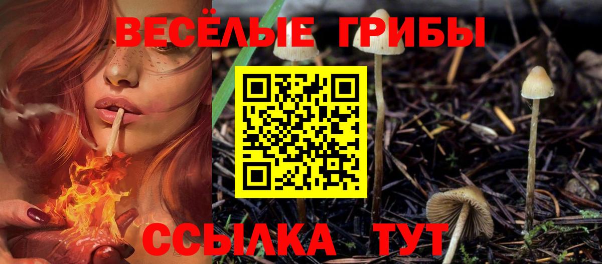 Галлюциногенные грибы Cubensis Богородицк