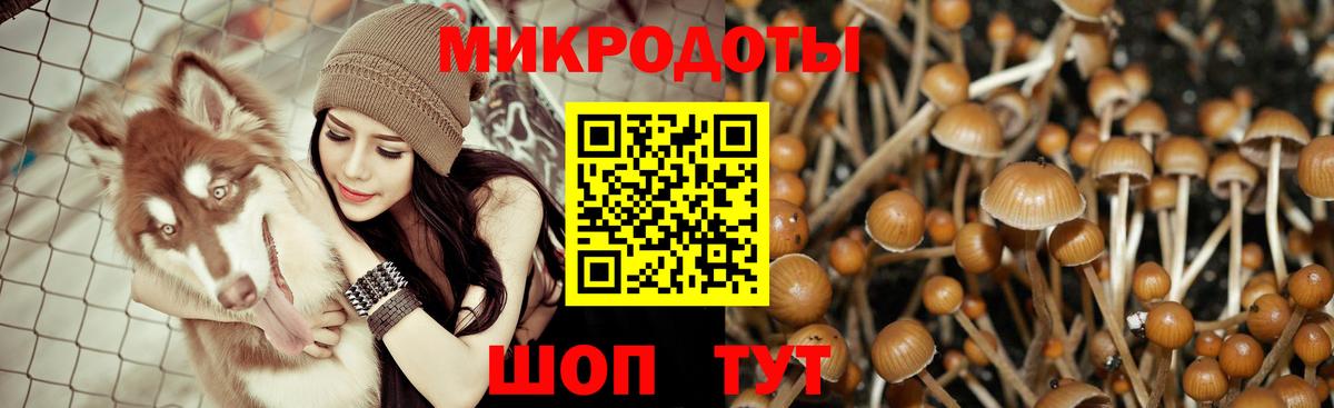 Псилоцибиновые грибы прущие грибы  Вход с VPN  Галлюциногенные грибы GOLDEN TEACHER  Богородицк 